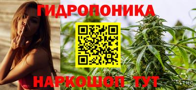 ГАЛЛЮЦИНОГЕННЫЕ ГРИБЫ Пугачёв